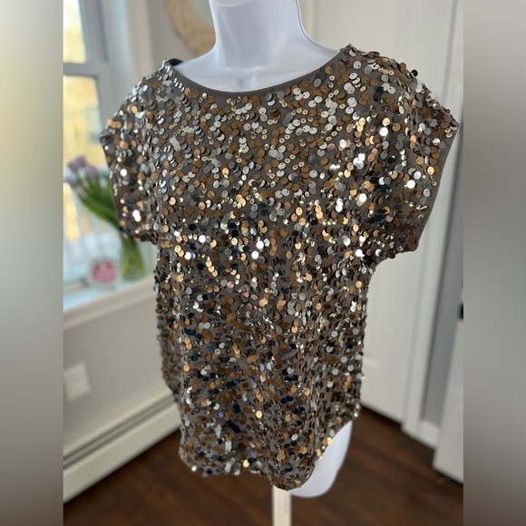 THE Limited Gold Silver Bronze Sequin Short Sleeve Gray Top Size XS - Picture 12 of 13